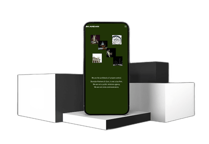 Skandan– Business Consulting Solutions